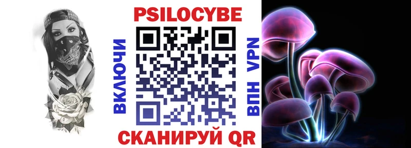 закладка  Цимлянск  Галлюциногенные грибы Cubensis 